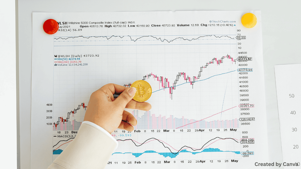 Balancing Risk and Investment