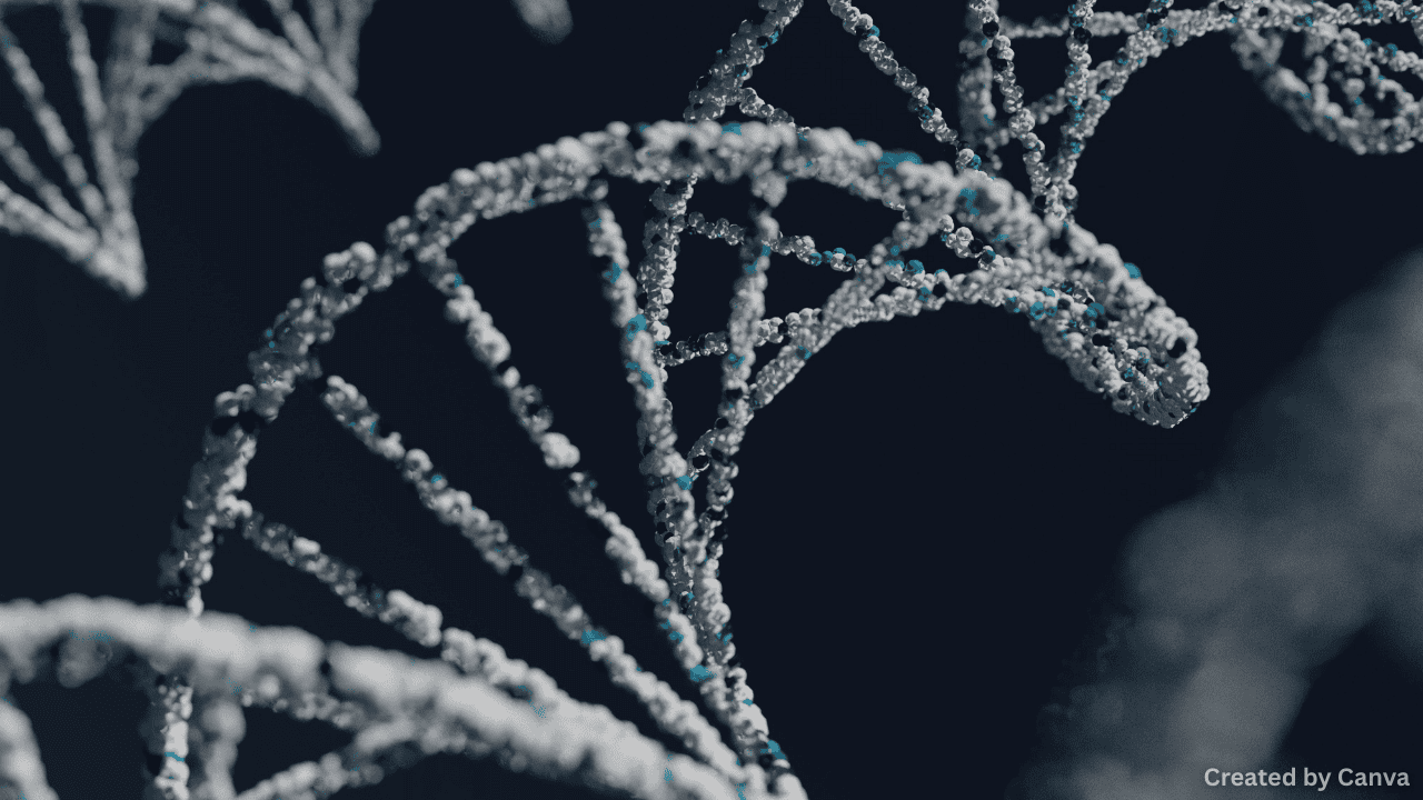 Concerns About Genetic Modification