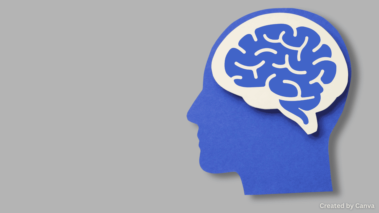 Understanding the Metaverse