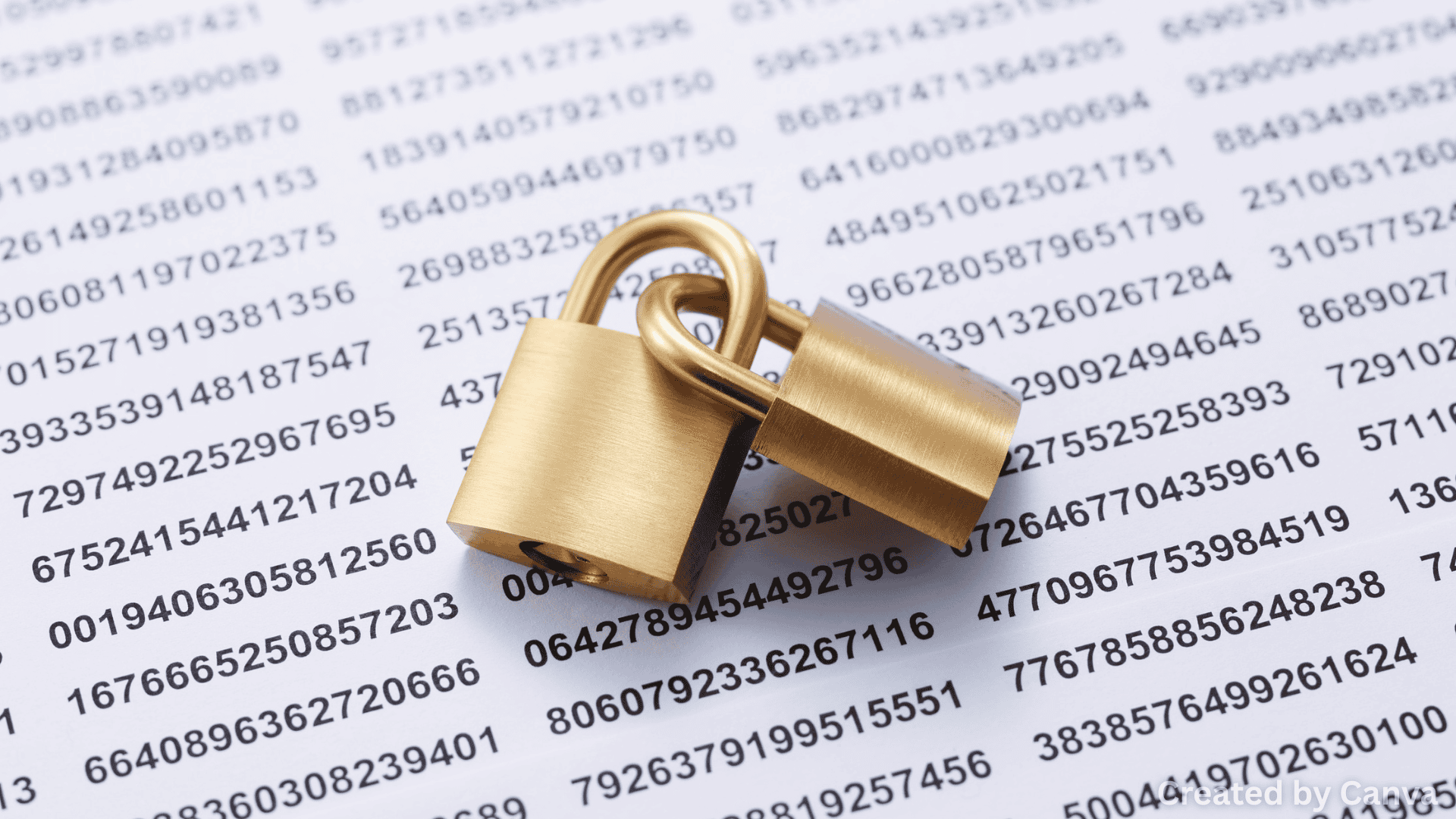 Safety of the public versus privacy of the individual