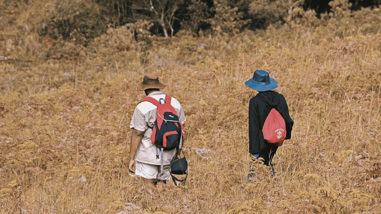 Should Countries Open Borders for Skilled Migrants?