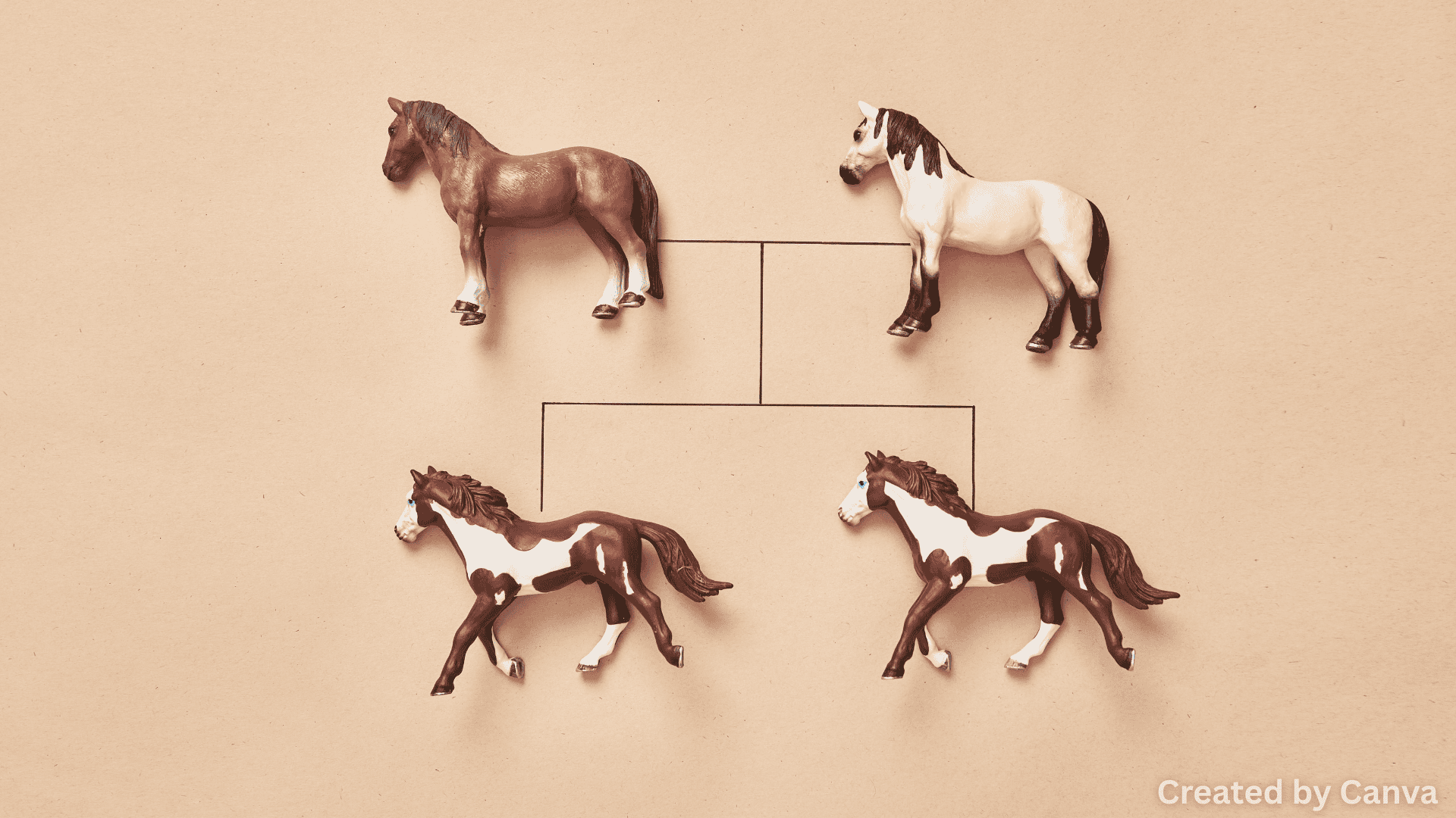 Should Genetic Cloning of Animals Be Legal?