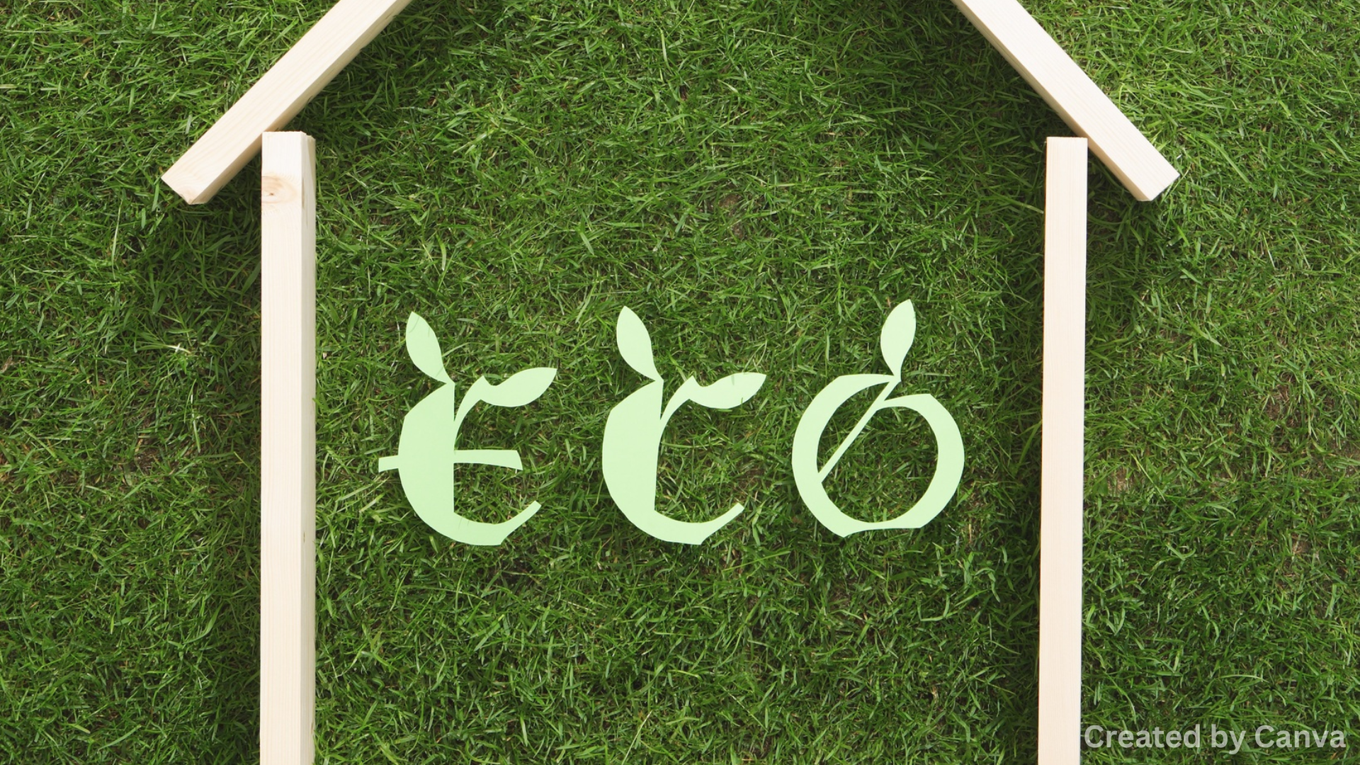 Are Eco-Friendly Products Becoming a Luxury Only?