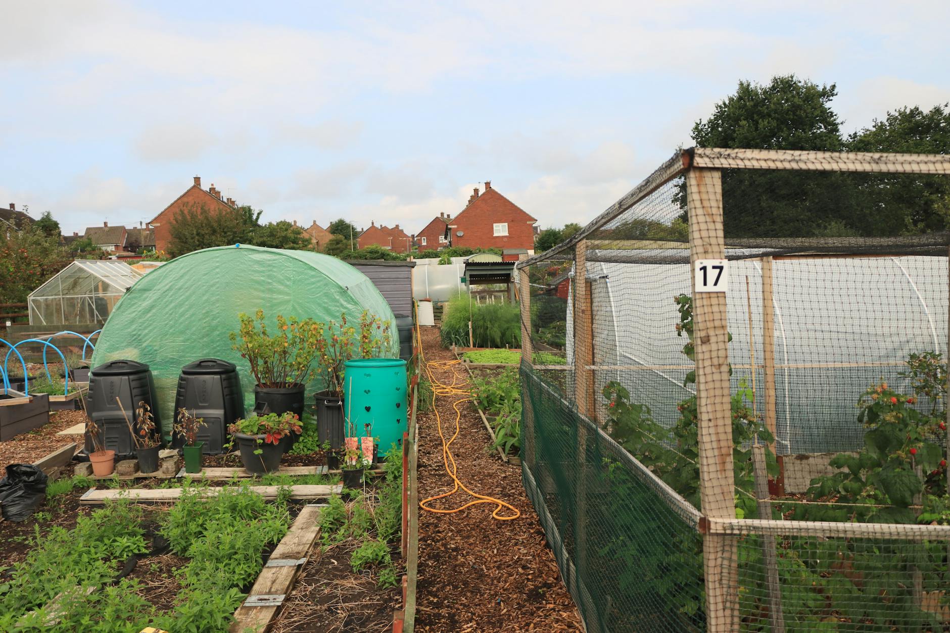 A community garden where local residents grow vegetables and fruits, emphasizing community initiatives for food security. …