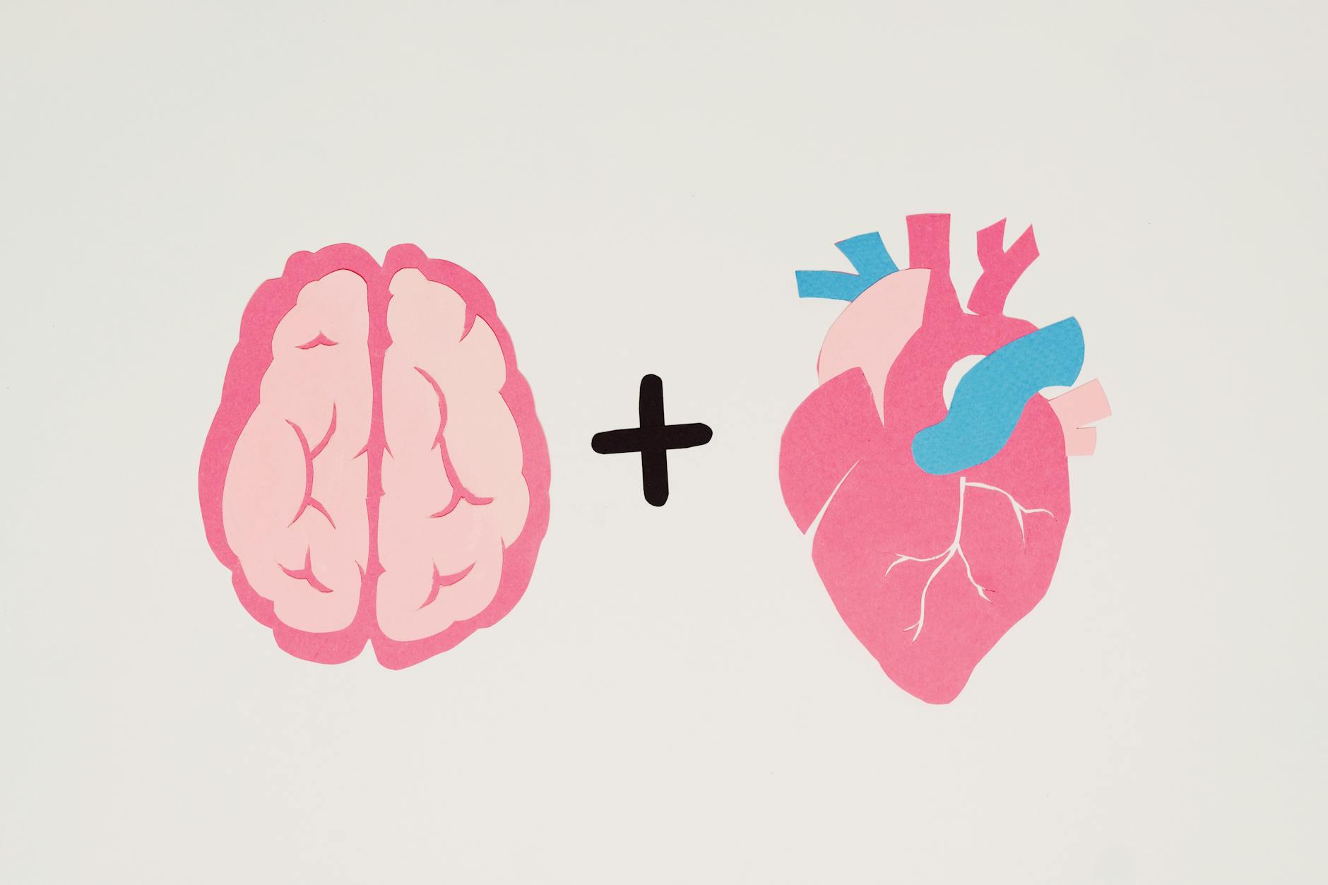 A diagram illustrating the balance between logic and emotion in persuasive arguments. — persuasion techniques