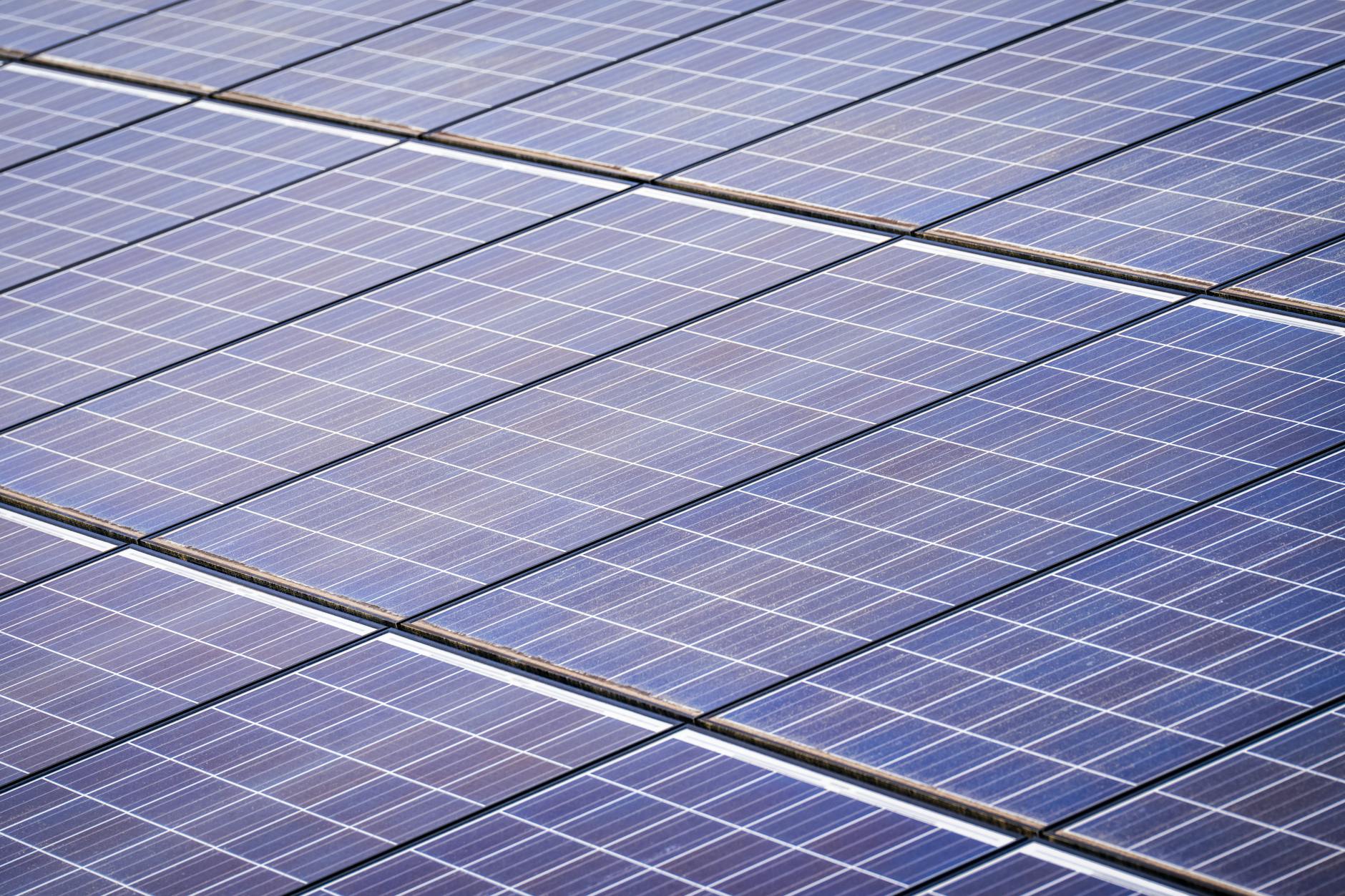 A photo of a corporate sustainability initiative, such as a green building or renewable energy project. — climate change…