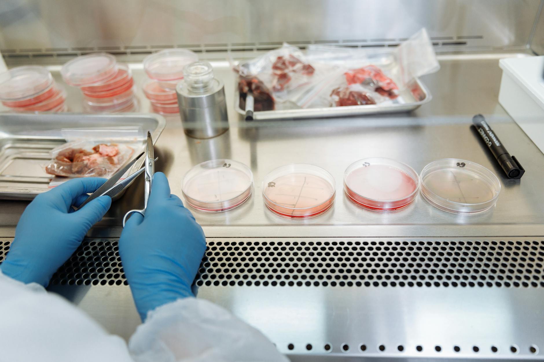 A photo of a laboratory conducting genetic engineering research. — genetic engineering ethics