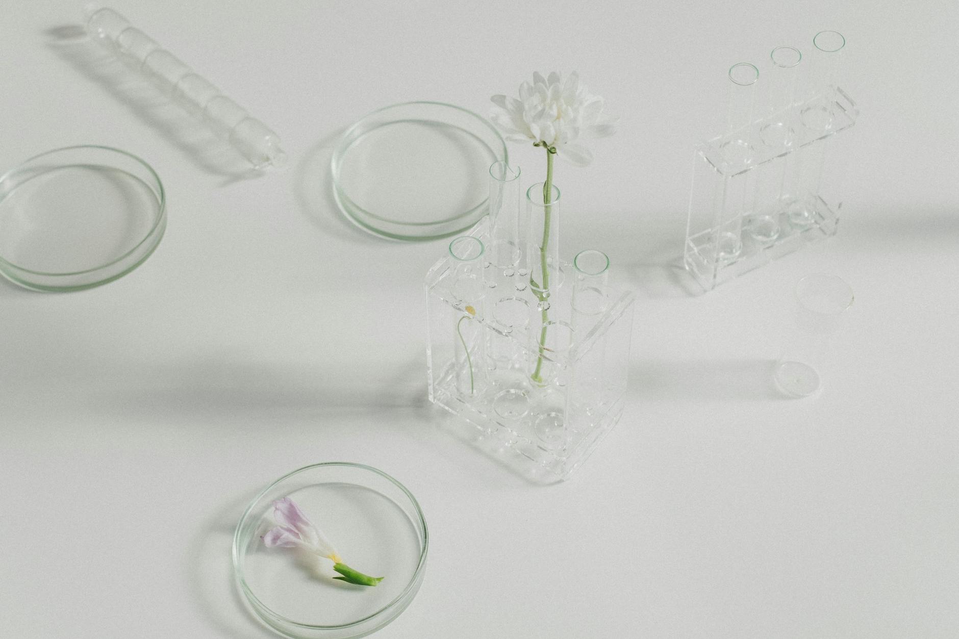 A side-by-side comparison of animal testing methods and alternative testing methods in a visually clear layout. — animal…