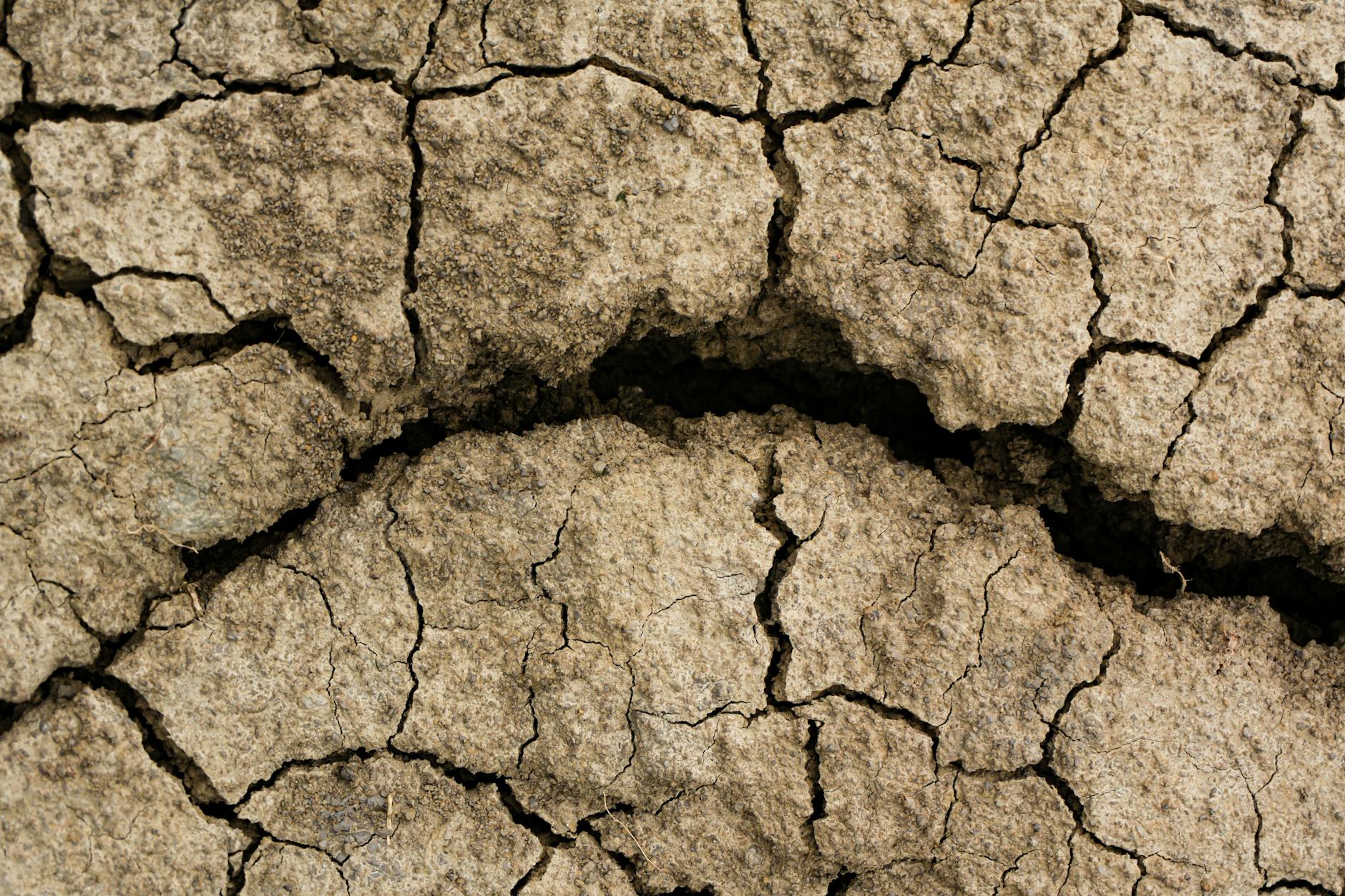 An infographic showing the effects of climate change on different ecosystems. — climate change action