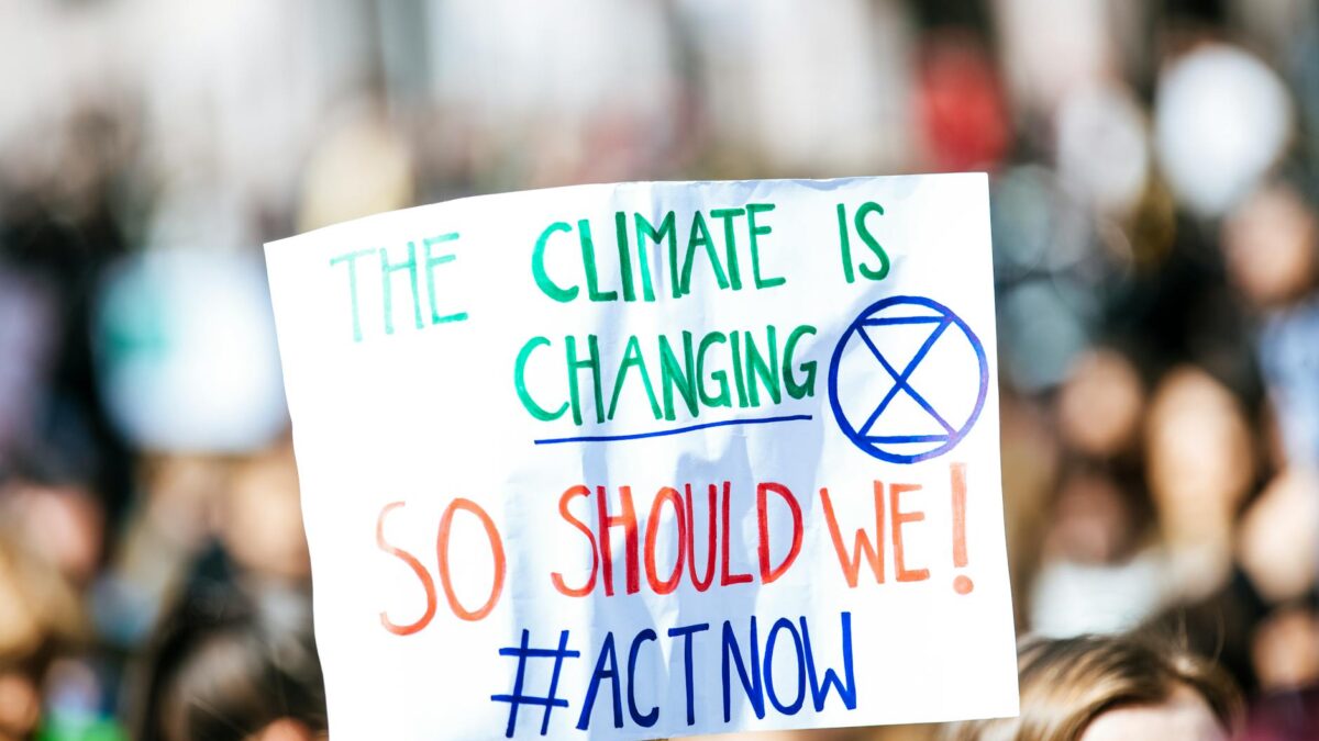 Climate Change Solutions: Debating the Best Approaches