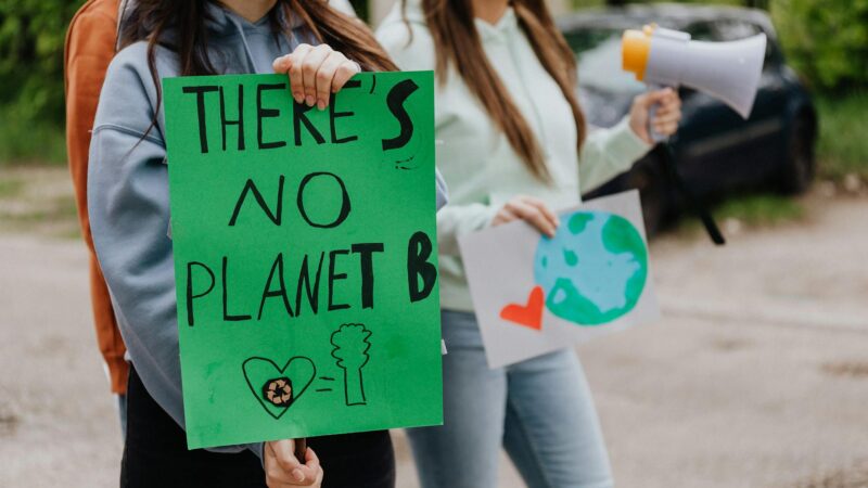 Debating Environmental Issues: Perspectives and Solutions