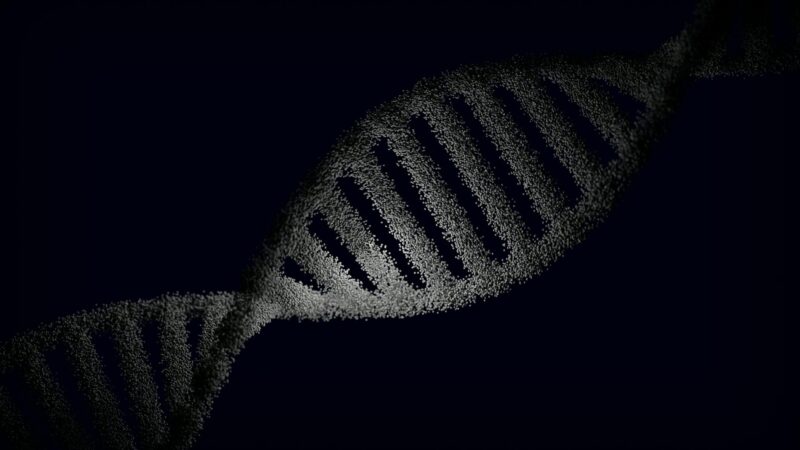 Exploring Genetic Engineering Ethics: Key Dilemmas