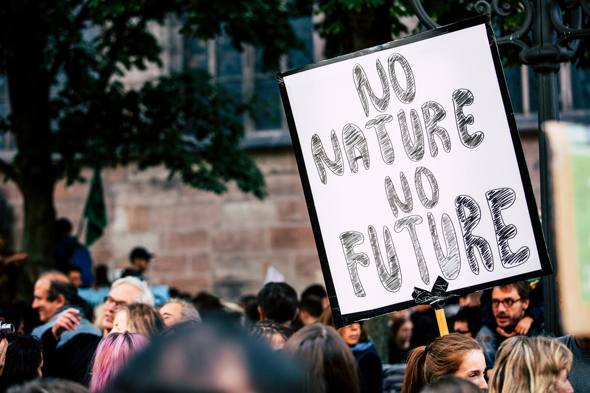 The Future of Climate Change Solutions