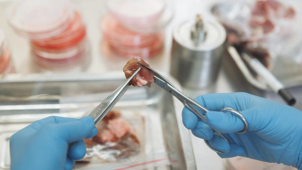 The Lab-Grown Meat Debate: Future of Food