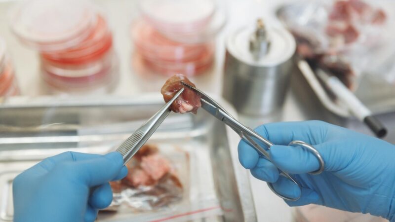 The Lab-Grown Meat Debate: Future of Food