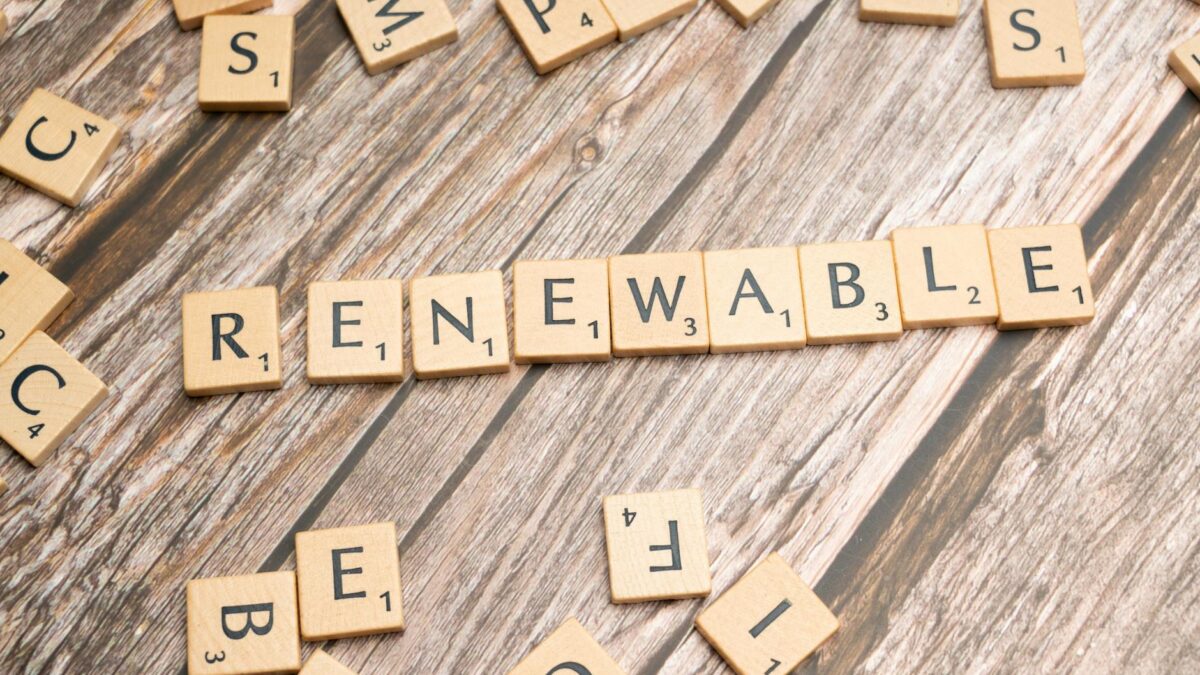 The Renewable Energy Debate: Key Perspectives Explored
