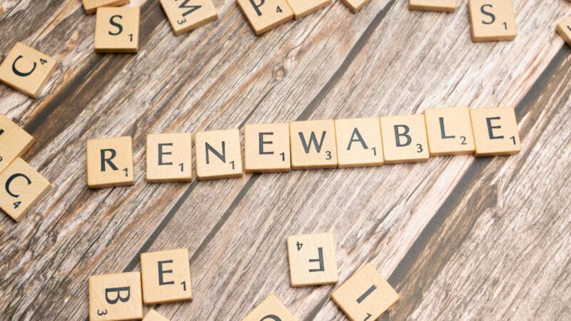 The Renewable Energy Debate: Key Perspectives Explored