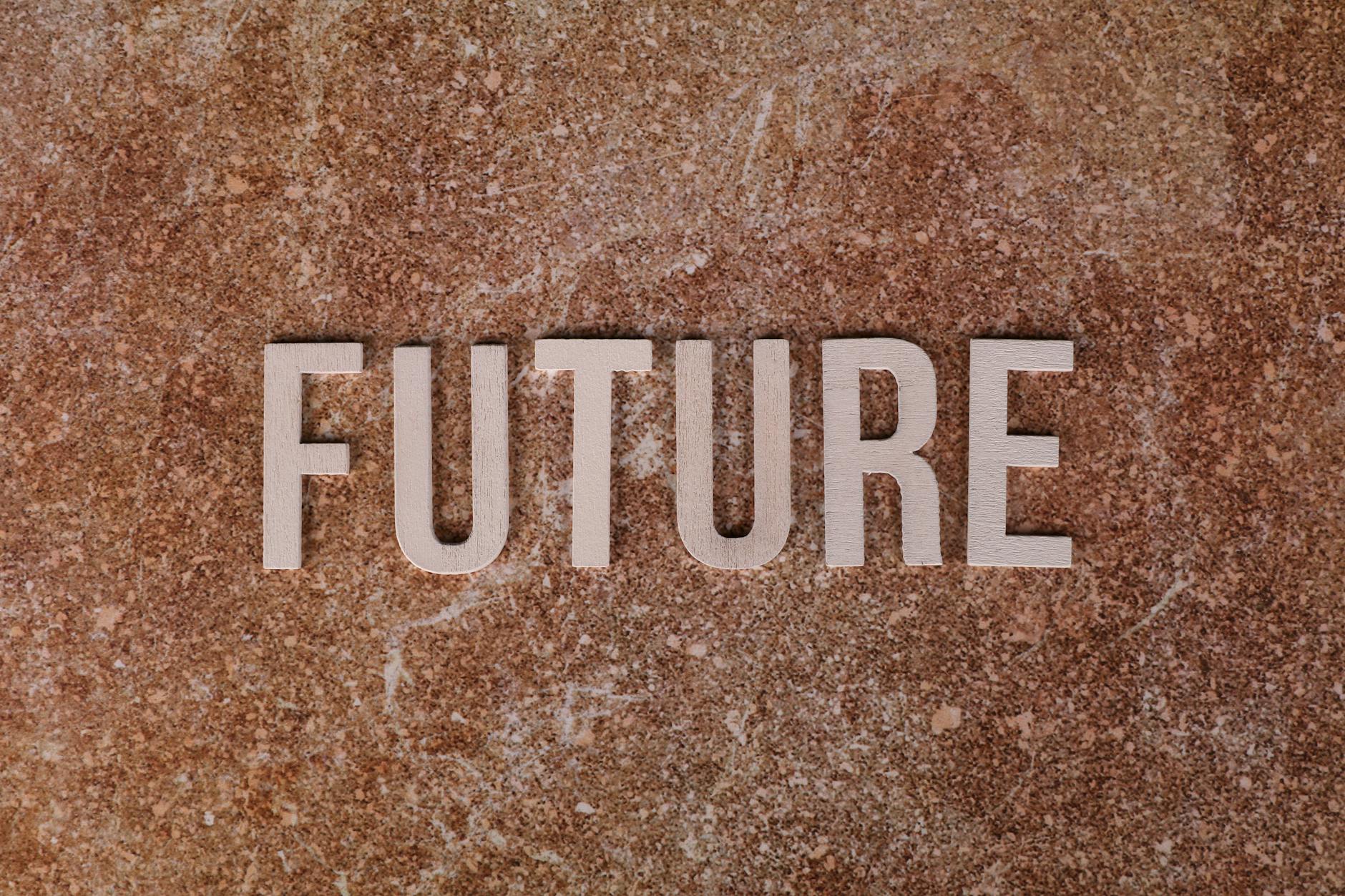 Universal Basic Income: A Possible Future?