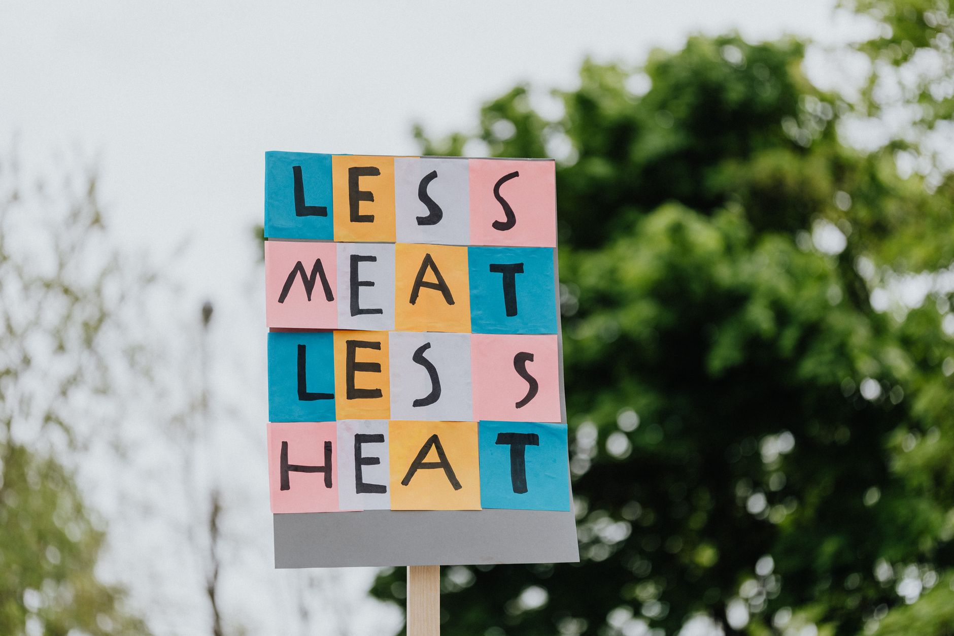 A graph illustrating the reduction of carbon footprints associated with vegan diets. — veganism debate