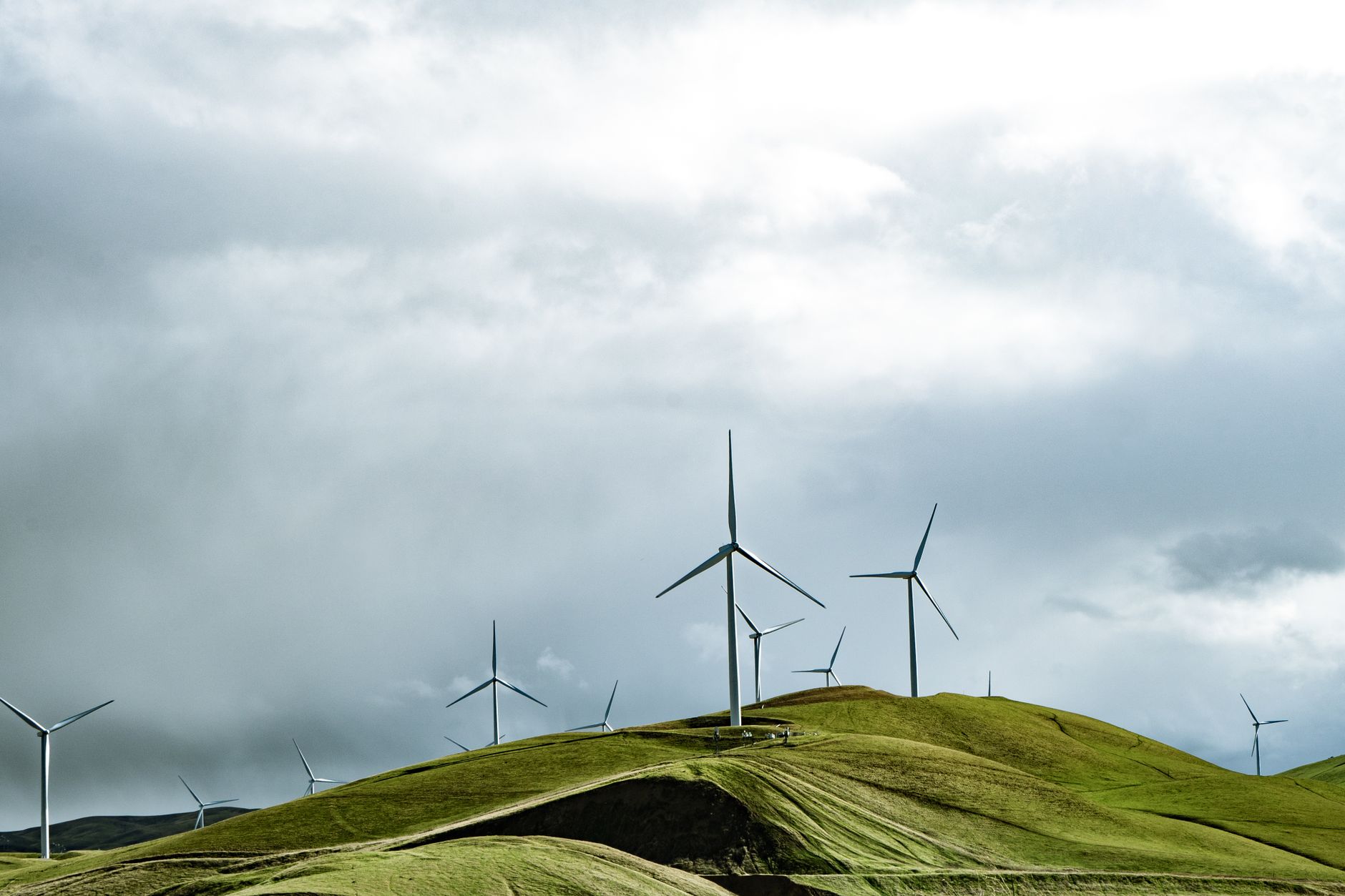 A graph showing the growth of renewable energy sources over the past decade. — renewable energy debate