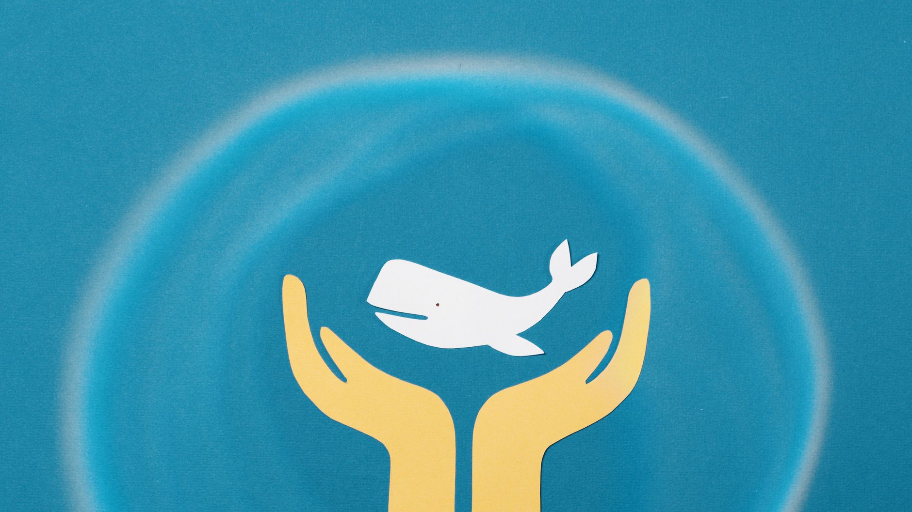 A philosophical diagram illustrating the concept of animal rights
