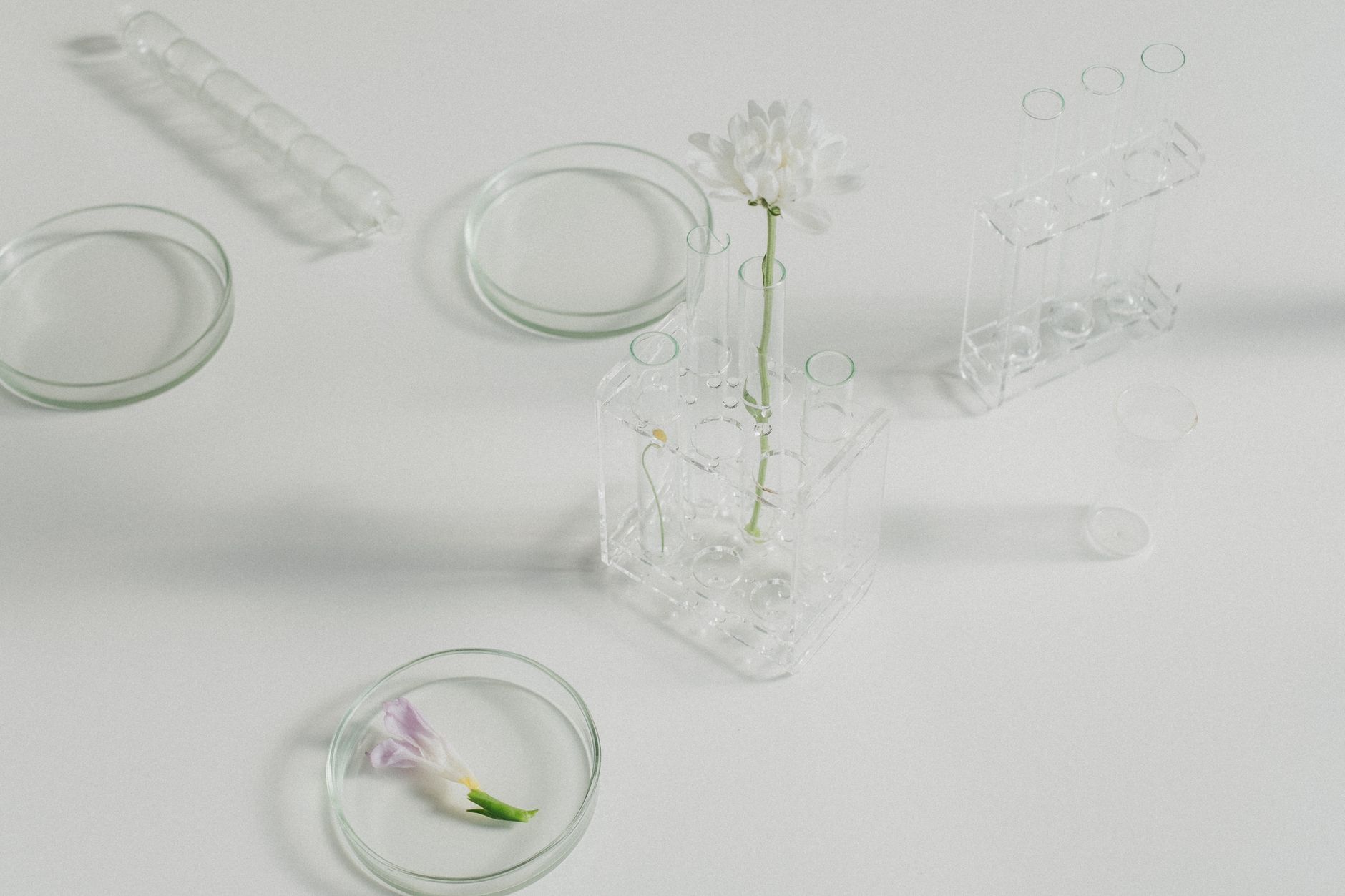 A visual representation of alternative testing methods, such as in vitro testing. — animal testing debate