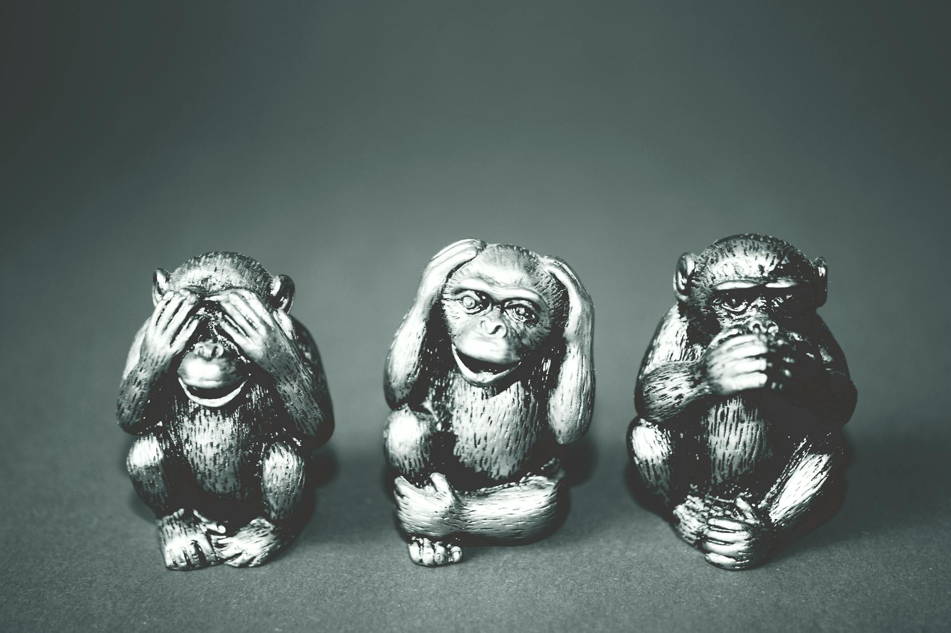 A visual representation of different philosophical perspectives on animal ethics. — animal rights debate