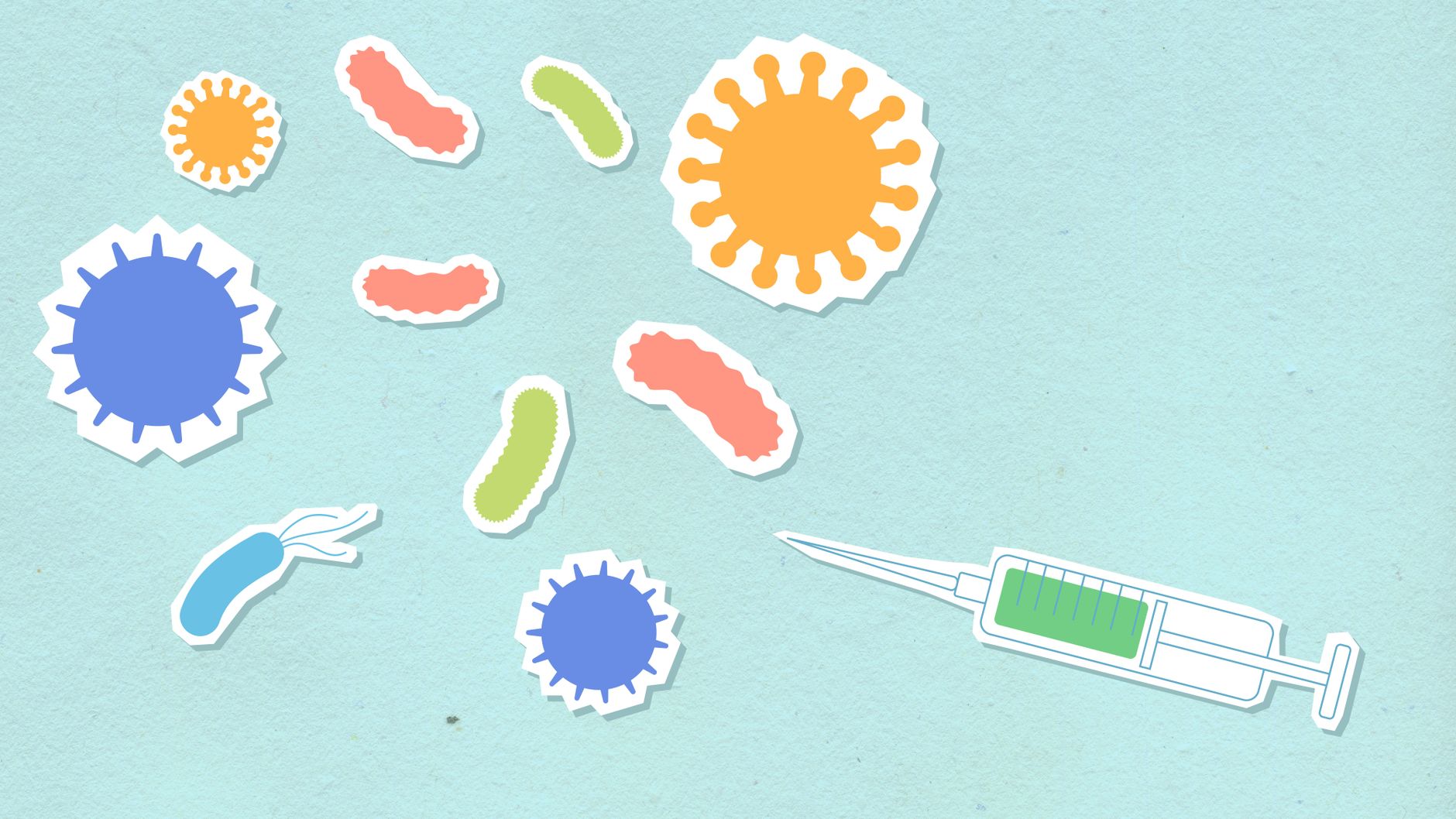 An infographic illustrating how vaccines work in the immune system. — vaccination debate