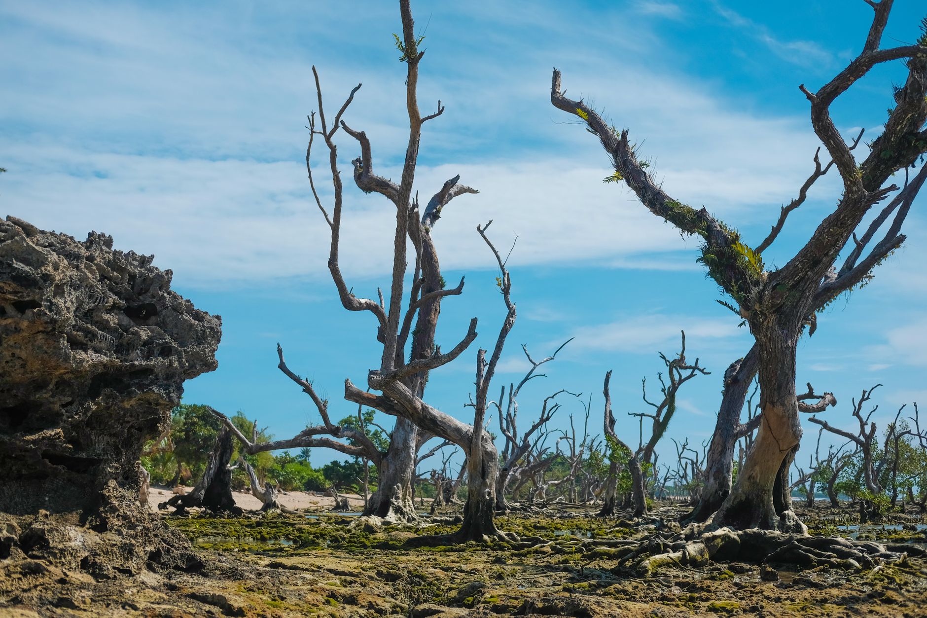 An infographic illustrating the impacts of climate change on different ecosystems. — climate change debate