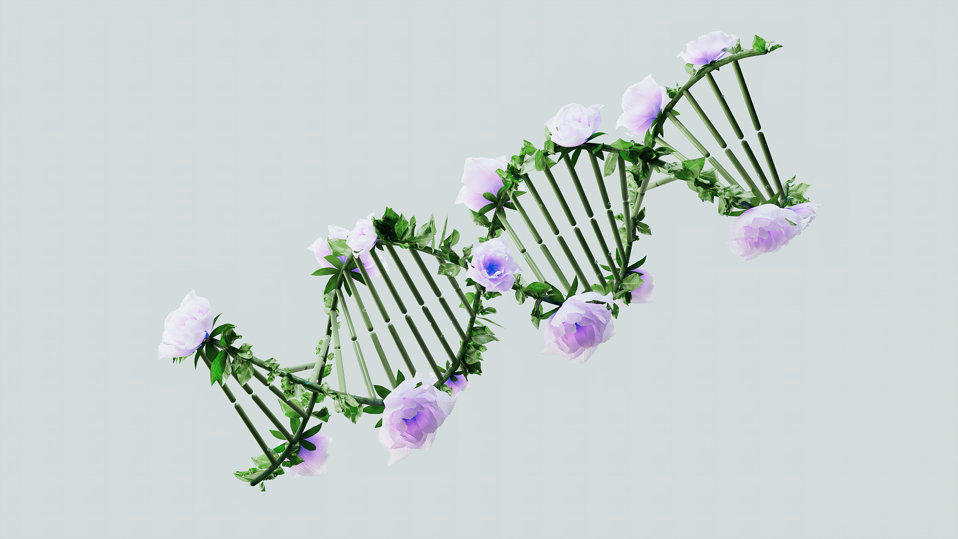 An infographic illustrating the process of CRISPR gene editing in the context of the gene editing debate