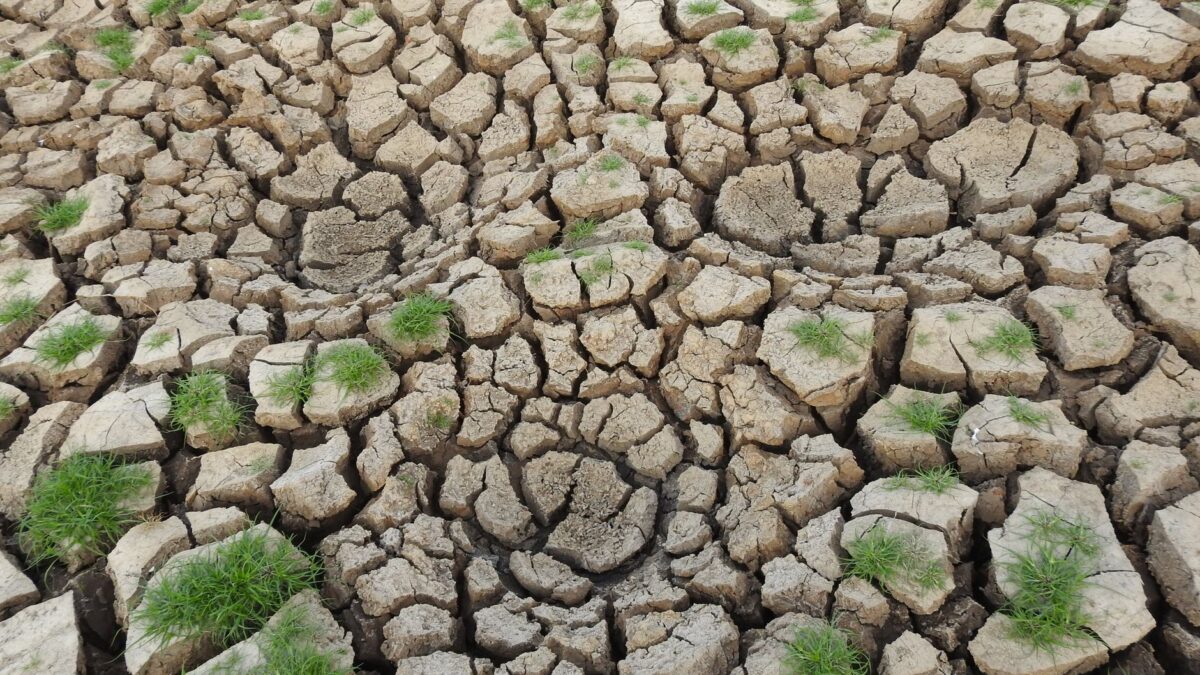 Climate Change: Is it Too Late to Act?
