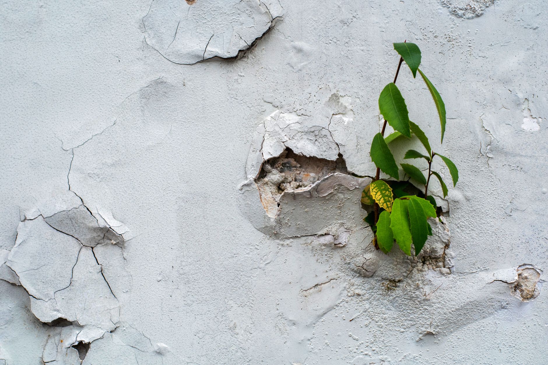 Conclusion: Embracing Adversity for Growth — handle adversity in debates