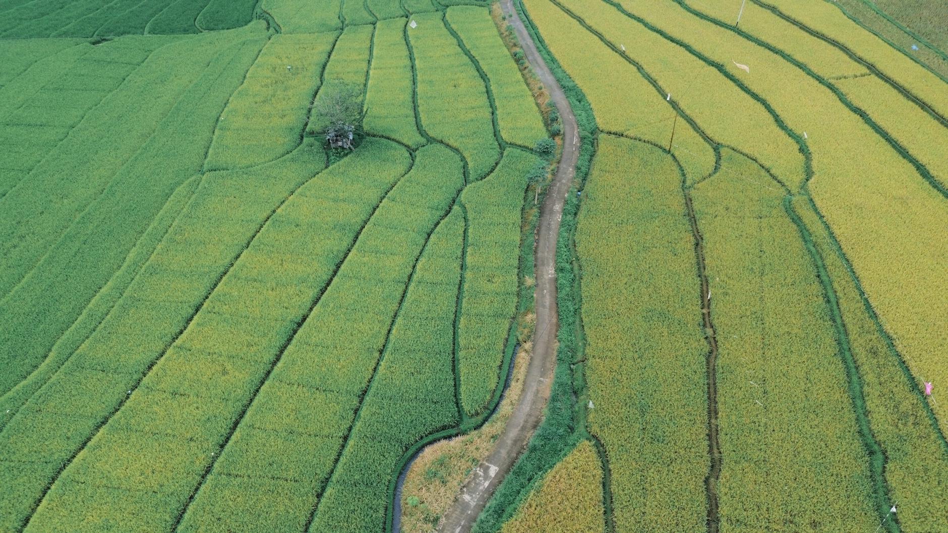 Conclusion: The Path Forward for Climate Change and Food Security — climate change food security
