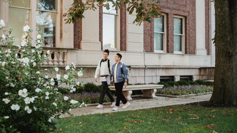 Should College Education Be Free? A Clever Debate