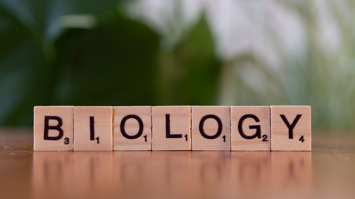 The Gene Editing Debate: Should Human Genetic Editing Be Legal?
