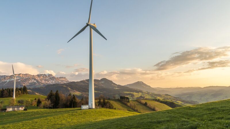 The Renewable Energy Debate: Is It Enough?