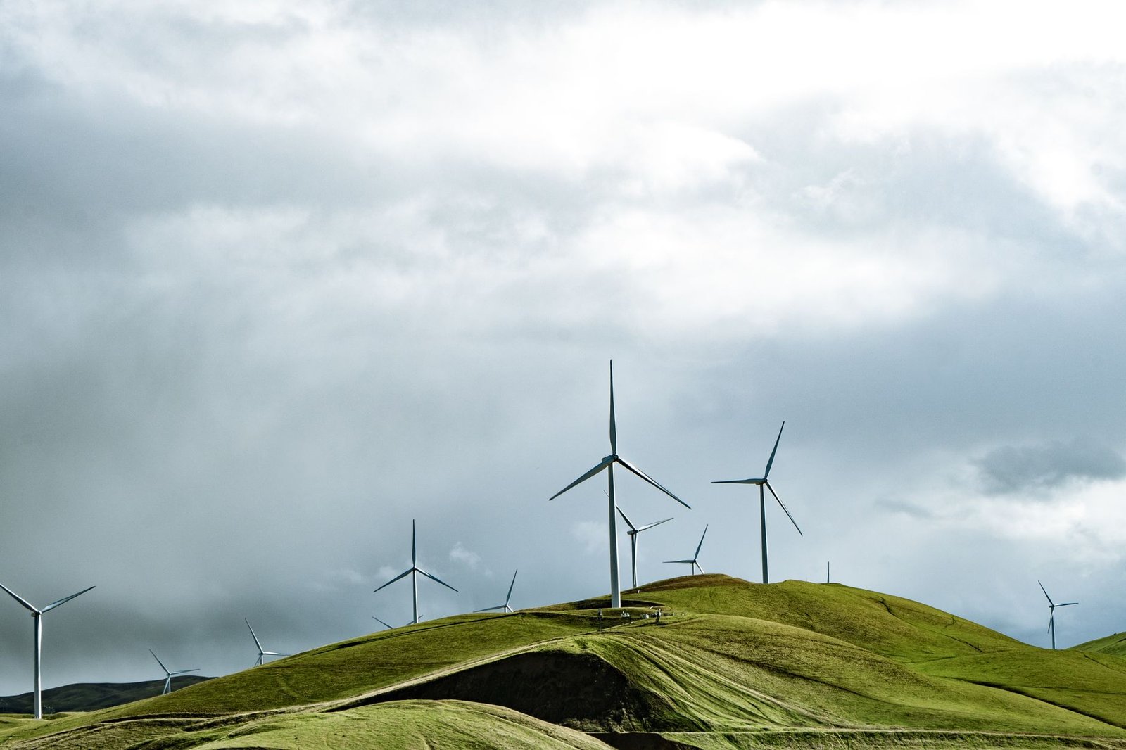 A chart illustrating the growth of renewable energy sources over the past decade. — renewable energy debate