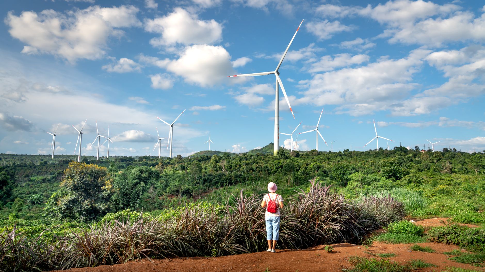 A chart showing the growth of renewable energy adoption over the past decade. — renewable energy debate