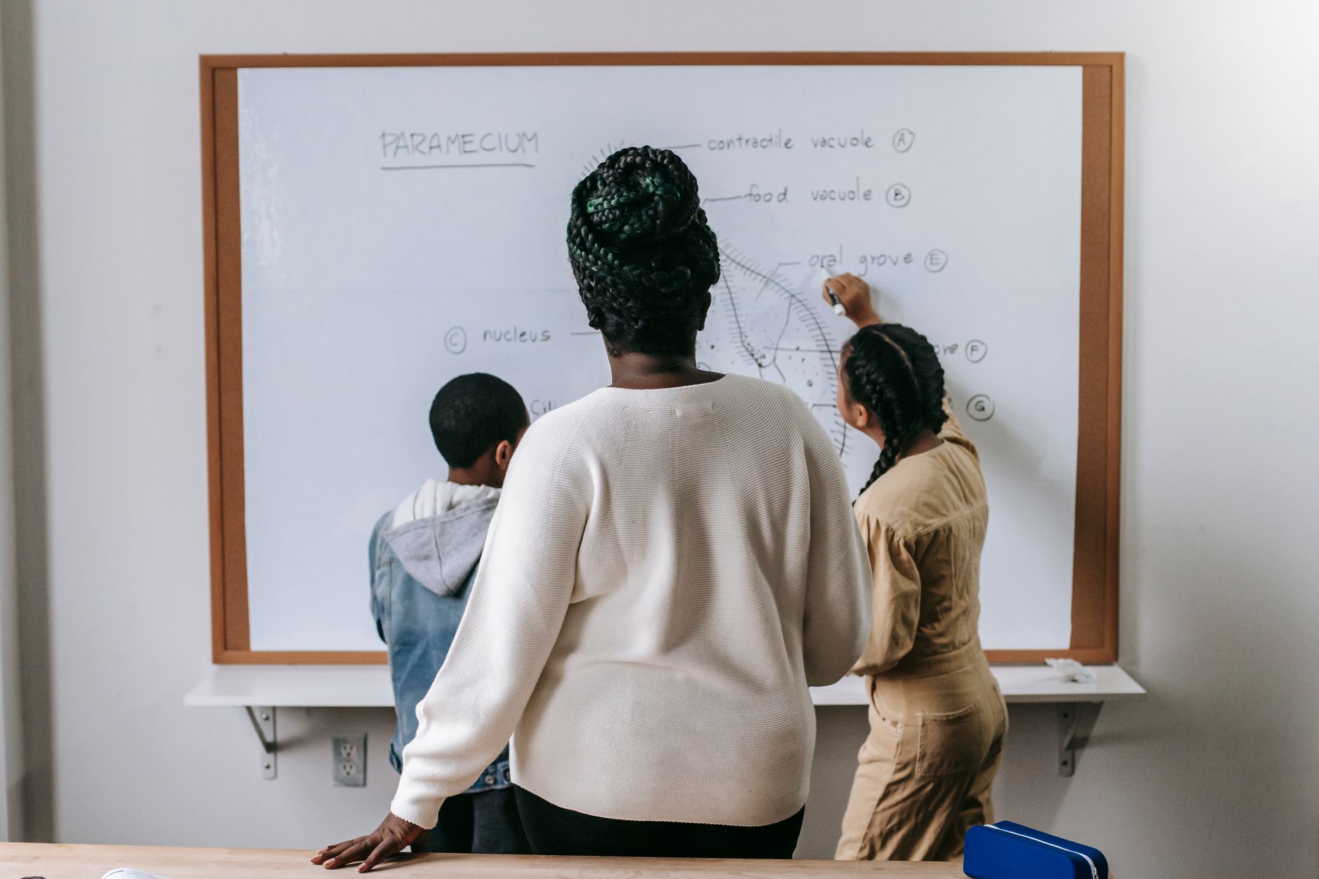 A diagram depicting the key elements of educational reform and its impact on schools in the education system debate.