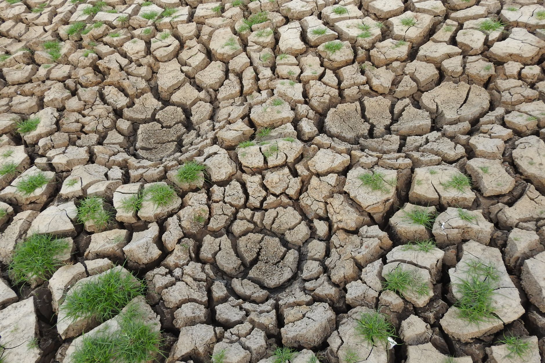 A visual representation of climate change impact across different regions, highlighting the dynamics of climate change debates.