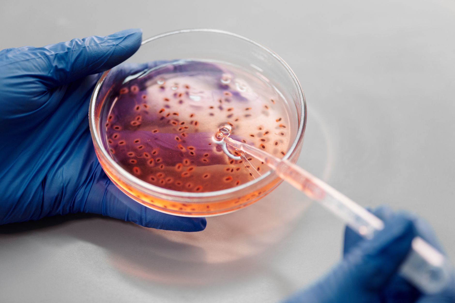 Actionable Takeaways on Genetic Editing Ethics