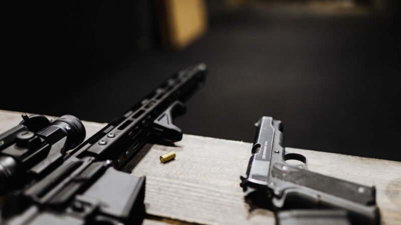 Gun Control: A Right or a Responsibility?