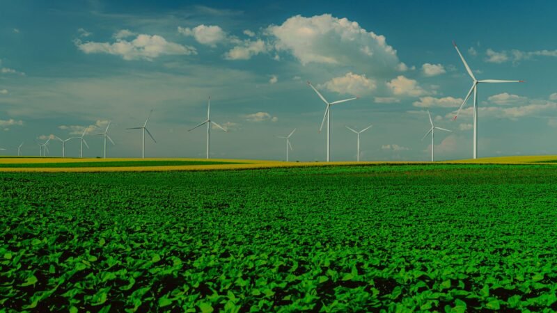 Renewable Energy Debate: Examining Future Possibilities