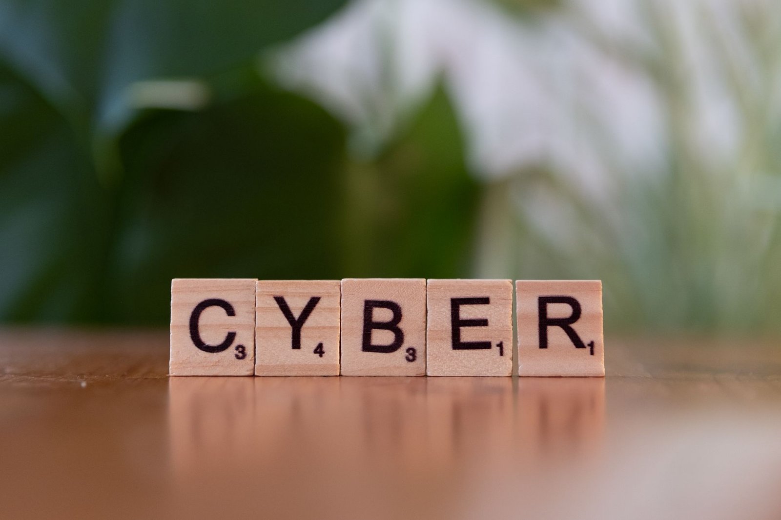 The Future of Data Privacy and Security