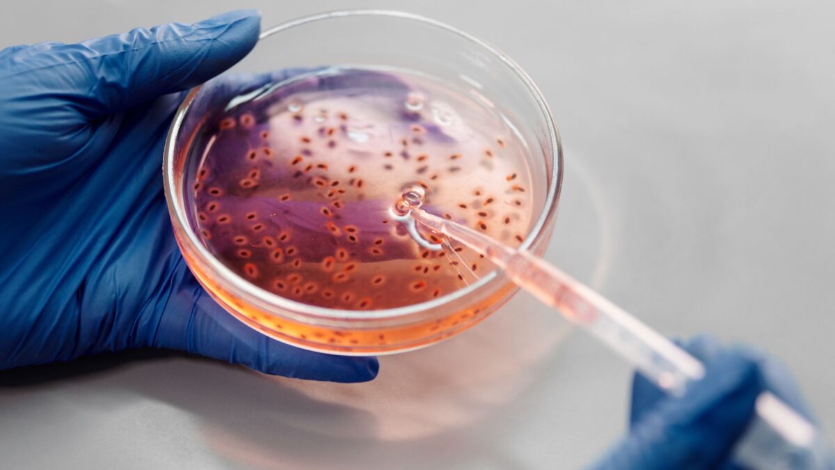 The Morality of Genetic Editing: A Clever Debate