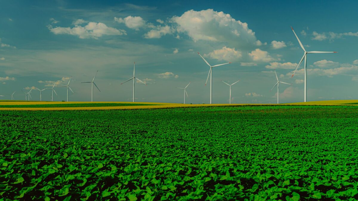 The Renewable Energy Debate: Is It Enough for Climate Change?