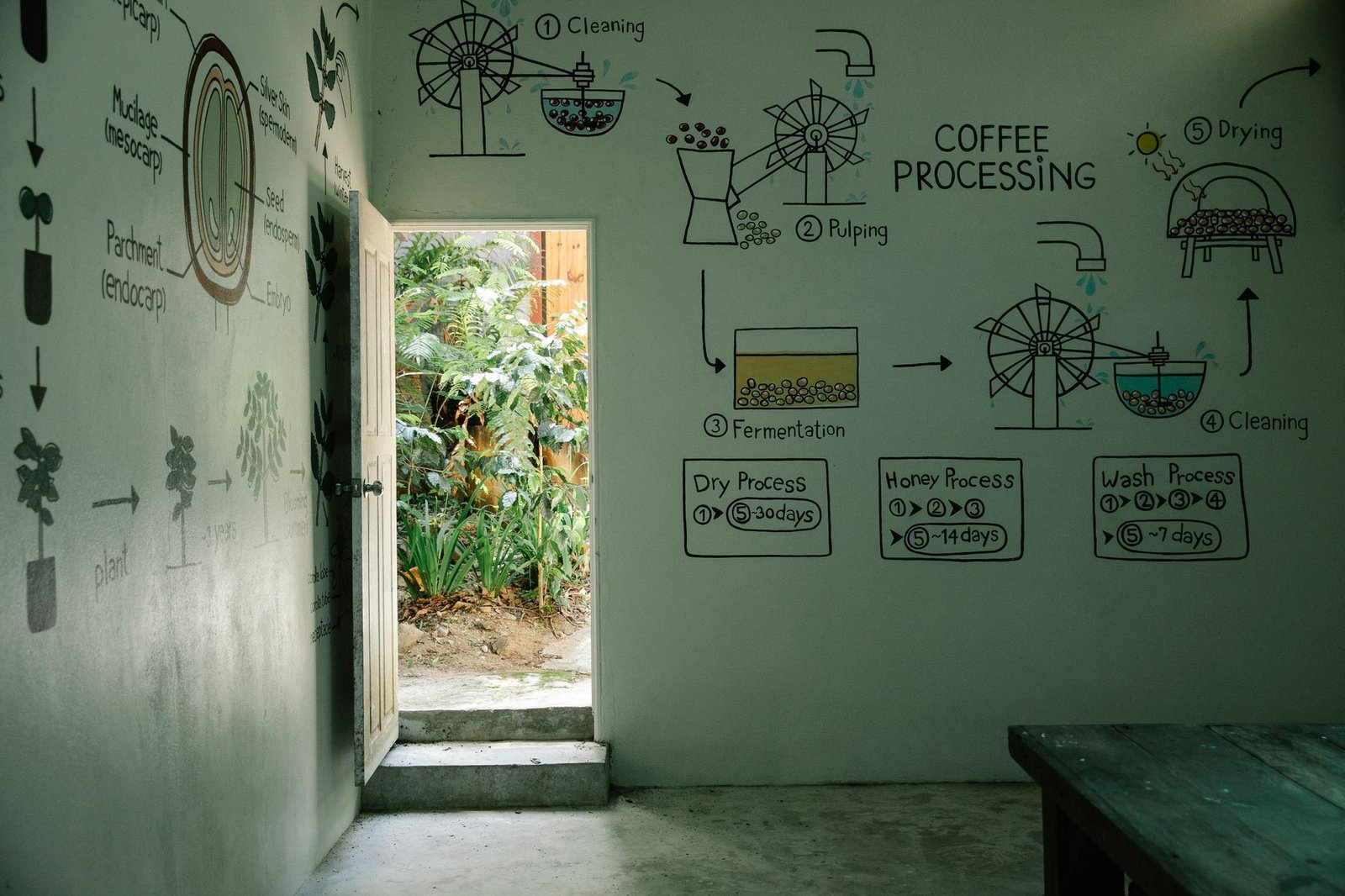 A case study diagram illustrating successful collaborations in environmental initiatives. — environmental debates