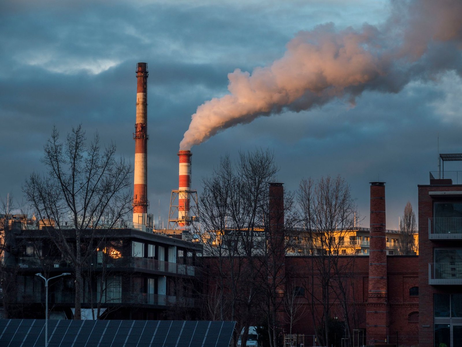 A chart illustrating corporate emissions reductions over the past decade. — climate change debate