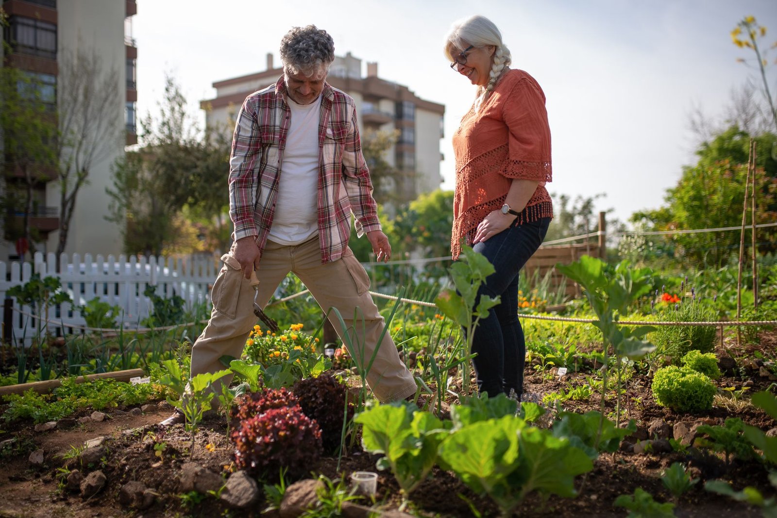 A community garden where people are growing their own vegetables as part of a sustainable lifestyle. — veganism and clim…