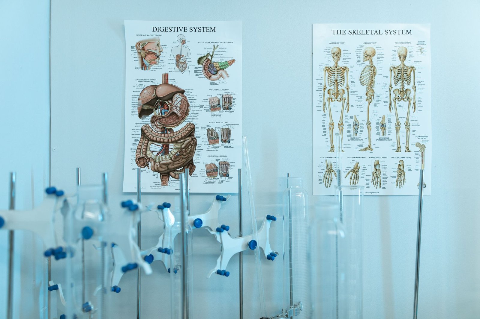 A diagram illustrating the impact of AI on different sectors like healthcare and education. — AI debate